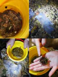 原來趕海才是東澳島的正確打開方式