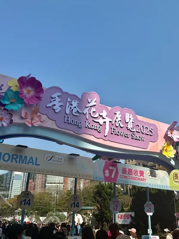 🌸香港花展2025：掉進花海的夢幻體驗！