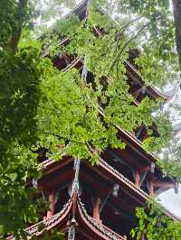 五一好去處|暮春棠湖映雲影,也無風雨也無晴