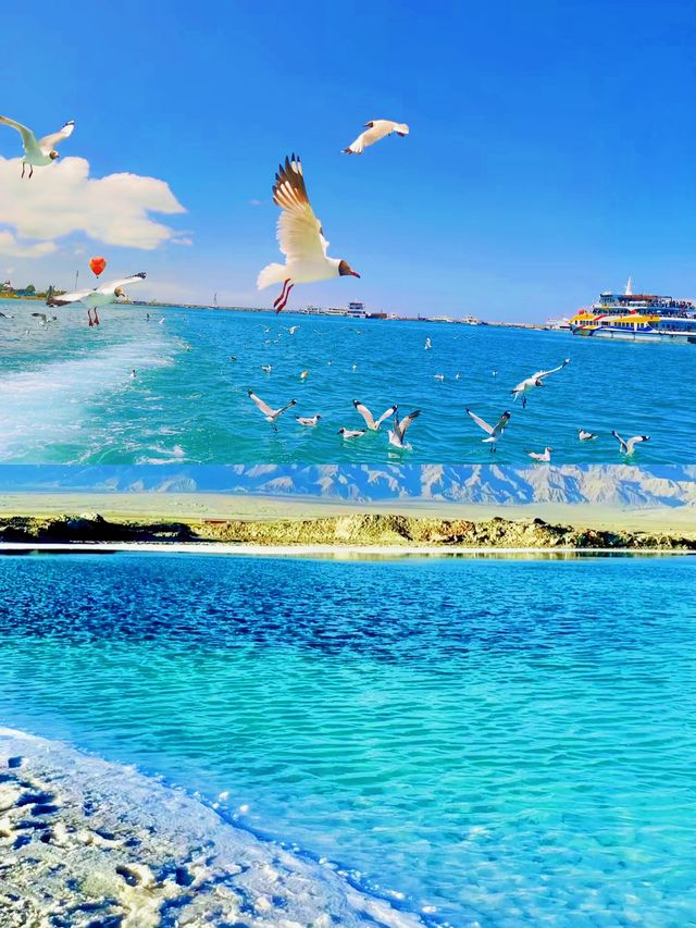 青海湖 | 與天空私奔，赴一場高原藍的約定