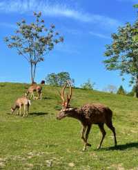 良渚公園