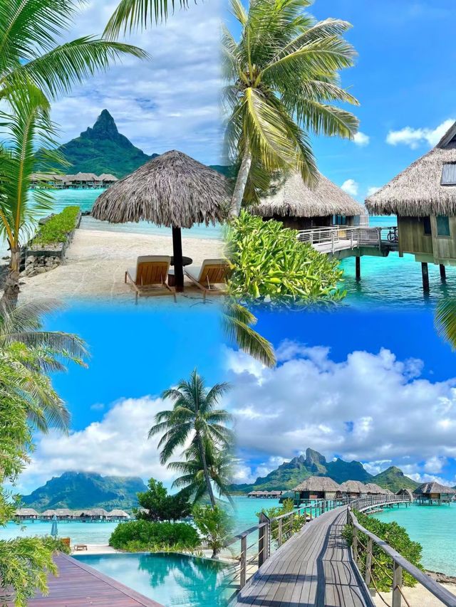 天堂般的碧海藍天咁玩先盡興