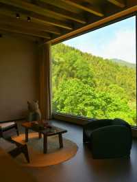 從長沙出發1.5小時到瀏陽新開嘅「雲野有楓」！