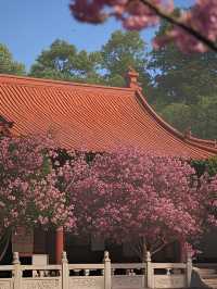 綿陽旅遊攻略|呢9個景點一定要去