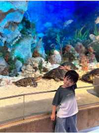 六一趣遊南海博物館，定格親子專屬回憶
