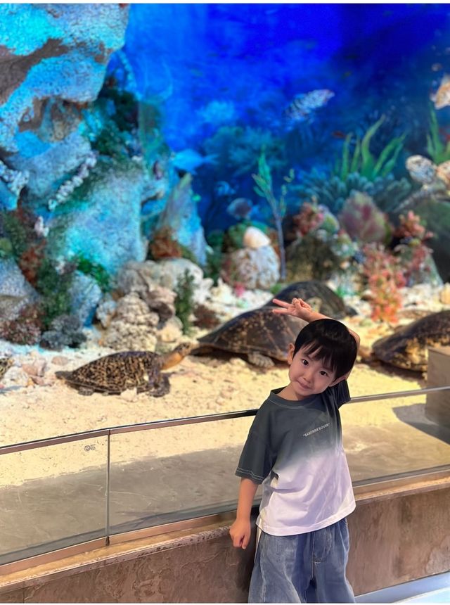 六一趣遊南海博物館，定格親子專屬回憶