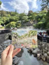 台北北投必訪！地熱谷、溫泉博物館與圖書館的文化漫遊之旅🚋