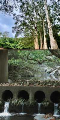 準備好闖進漫畫裡的治癒系公園了嗎？