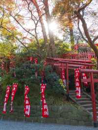 小長假遊日本 超詳細攻略來襲