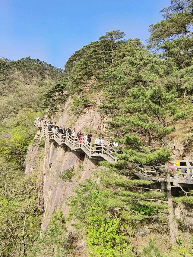 Majestic Huangshan on May Holiday 2025