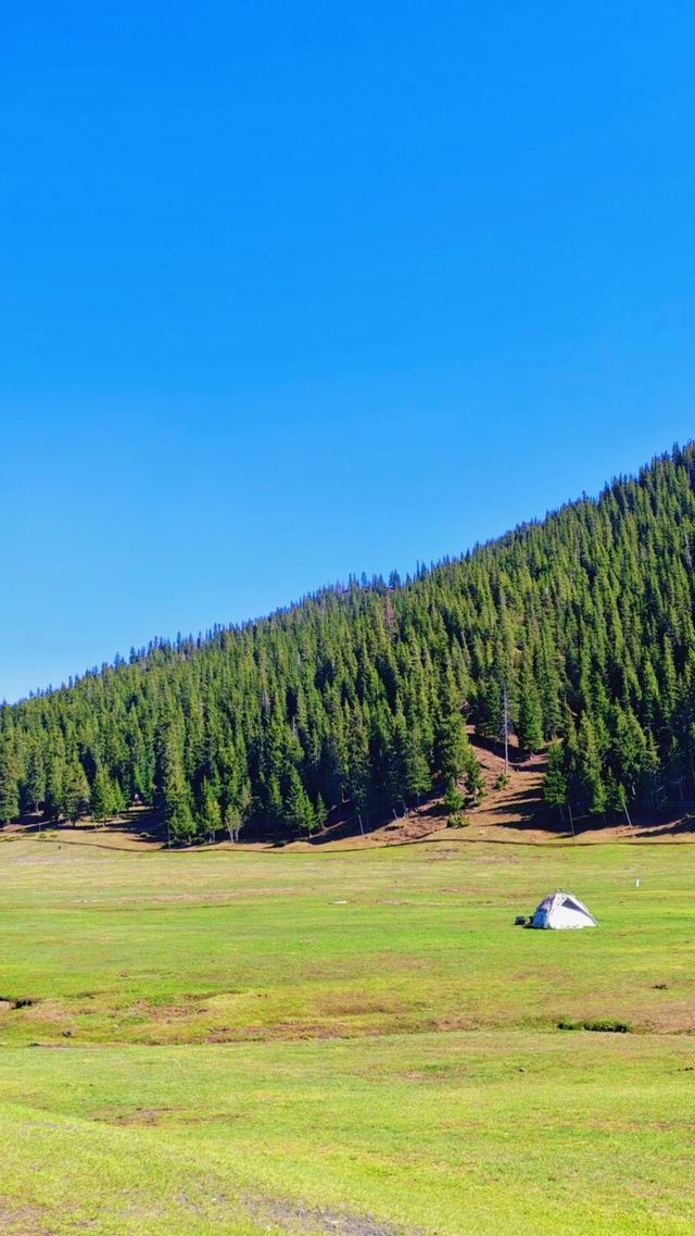 《新疆天山托木爾景區大峽谷，你唔嚟睇下？》