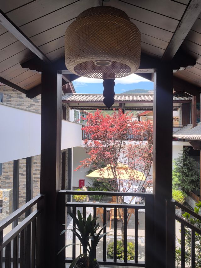 「邊個話旅行一定要趕景點？呢間民宿先係雲南嘅靈魂！