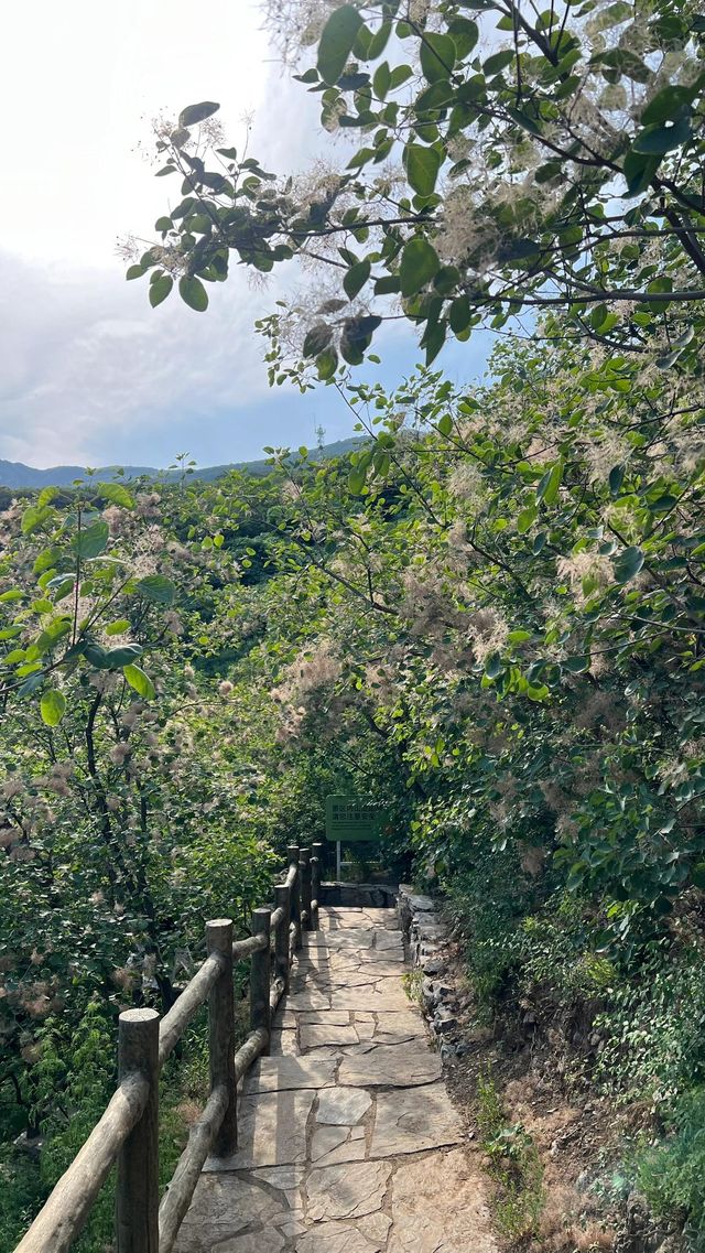 唔好再咁搏命啦，嚟北京嘅小瑞士坡峰嶺吸下氧啦