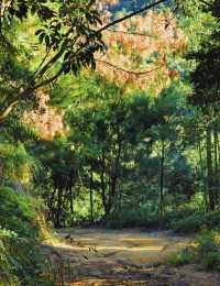 雞枕山：花崗岩森林嘅階梯呼吸術