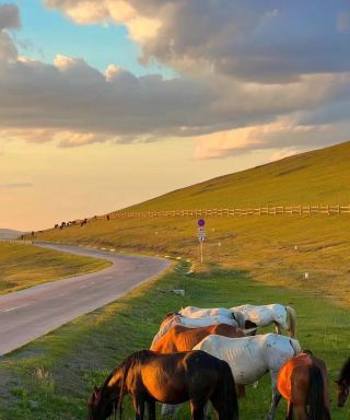 6 Days 5 Nights Grassland Secret Journey—Horse Riding and Visiting Nomads Full Experience