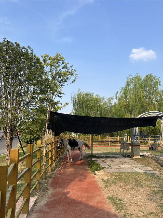 南京親子遊｜邊間酒店咁豪氣，竟然自帶萌寵樂園，仲有鱷魚