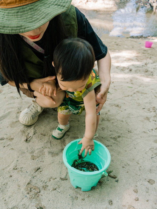 成都湊仔｜森林避暑、玩水、划槳板玩足一日