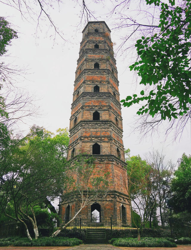 浦江塔山公園｜闖入《黑神話：悟空》嘅真實世界