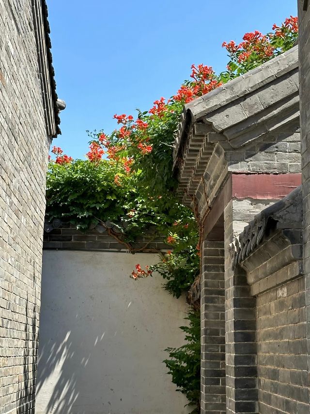 無棣大覺寺，清靜有底蘊，散心好去處