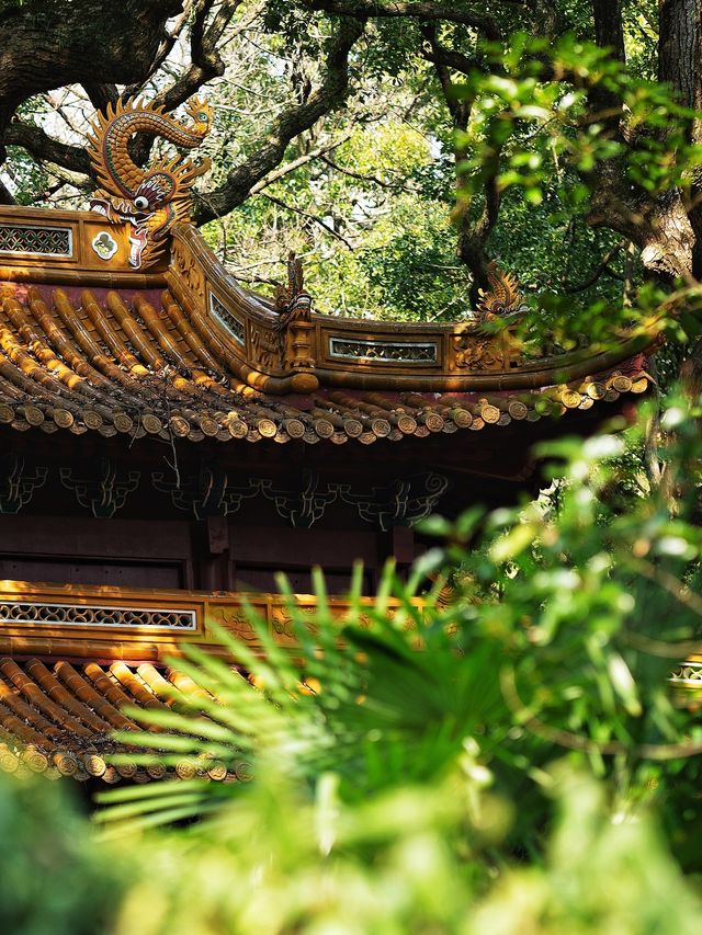 高考放榜撞大運！普陀山求得金榜題名符