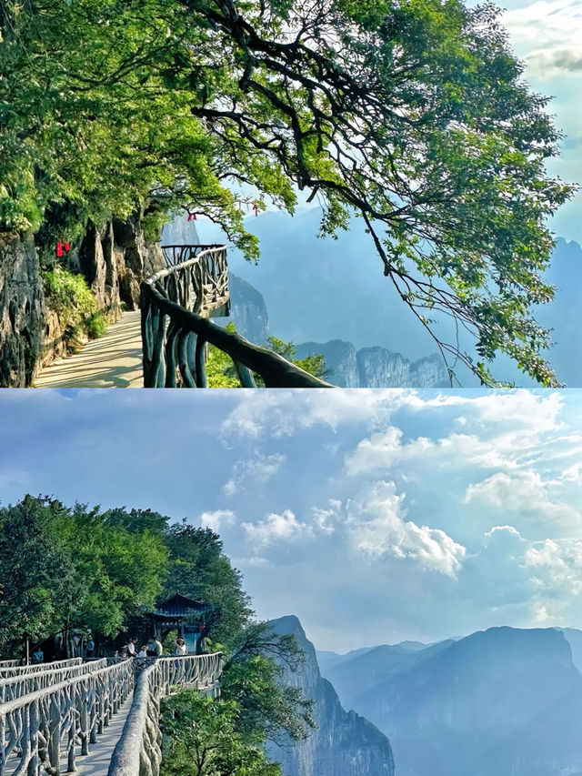 張家界旅遊攻略.奇幻仙境.此生必去！