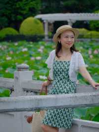 🪷 廣州夏日限定｜螺湧公園荷花拍照全攻略