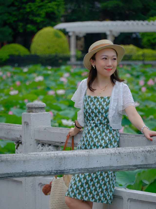 🪷 廣州夏日限定｜螺湧公園荷花拍照全攻略