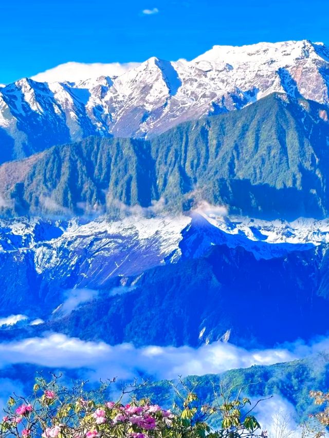 【龍華山超全旅遊攻略】——登雲海、賞奇峰，解鎖仙氣之