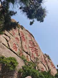 山海道韻，茶香沁心——青島嶗山深度遊玩全攻略