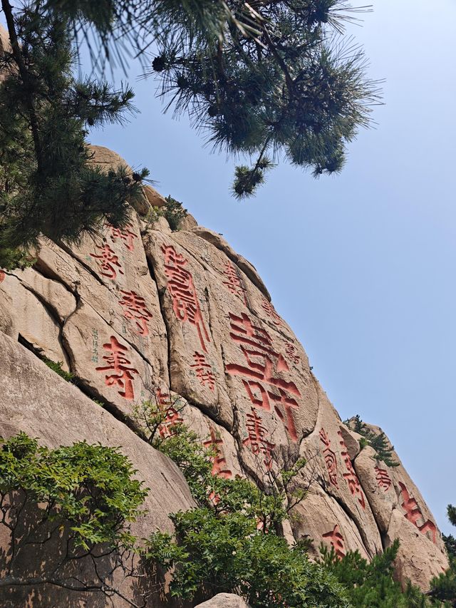 山海道韻，茶香沁心——青島嶗山深度遊玩全攻略