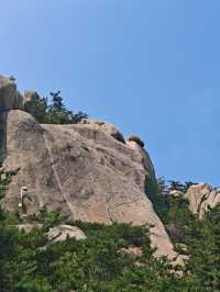 山海道韻，茶香沁心——青島嶗山深度遊玩全攻略