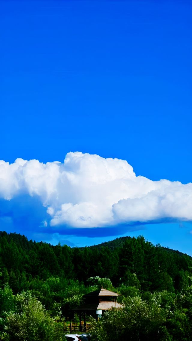 無法想像嘅今夏避暑秘境【根河】真正嘅酷夏