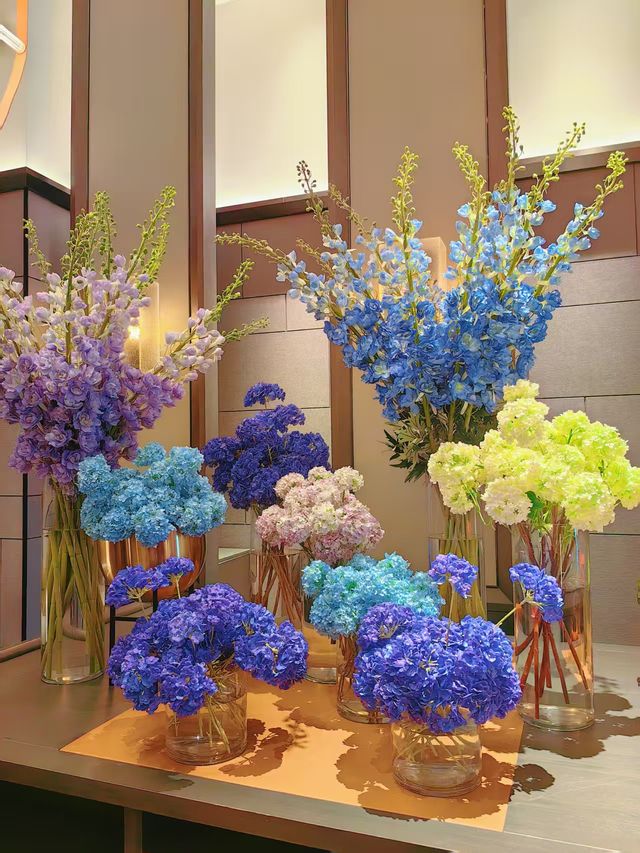 豪澤希芮迪酒店——享受親子時光