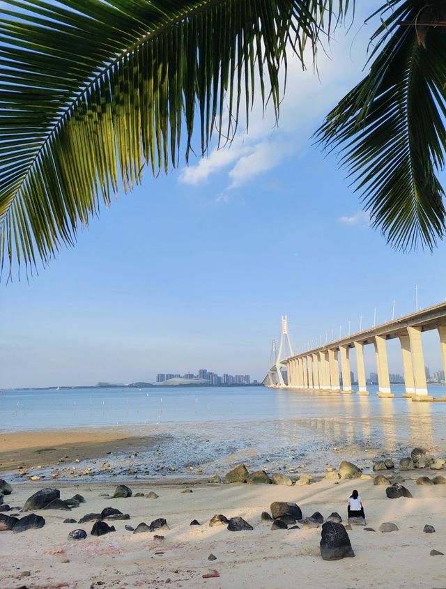 湛江金沙灣 不用離開城市，就能擁抱陽光沙灘！ 1.5公里濱海步道，椰林樹影，適合散步/騎行  沿途設