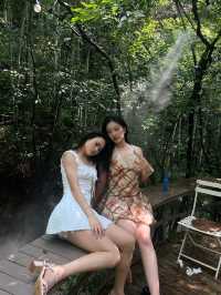 穿越魔法森林！丁達爾光線下的森系秘境太絕了