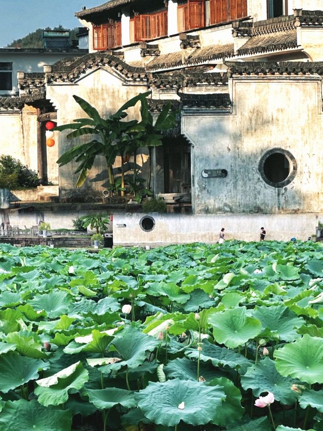 遊呈坎，一生無坎。