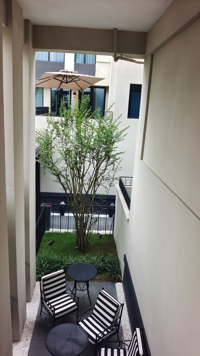 花間府裡聽雨眠