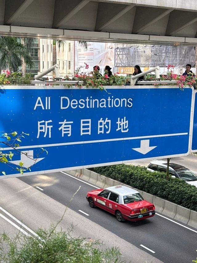 Hong Kong Victoria Harbour Sea View Ceiling ❤️