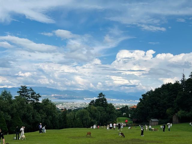 大理動物世界