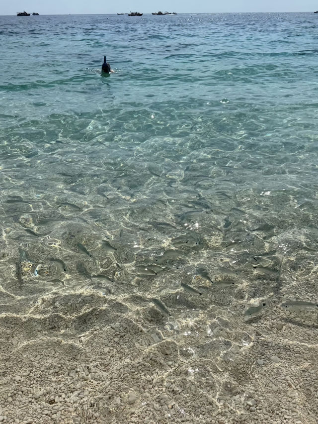 撒丁島私藏攻略