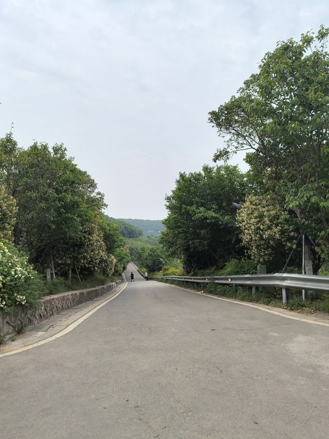 行山新手都搞得掂嘅蘇州靈白線呢條路線真係好啱週末嚟放鬆吓！既可以感受大自然又唔會太攰，路上仲可以偶遇超