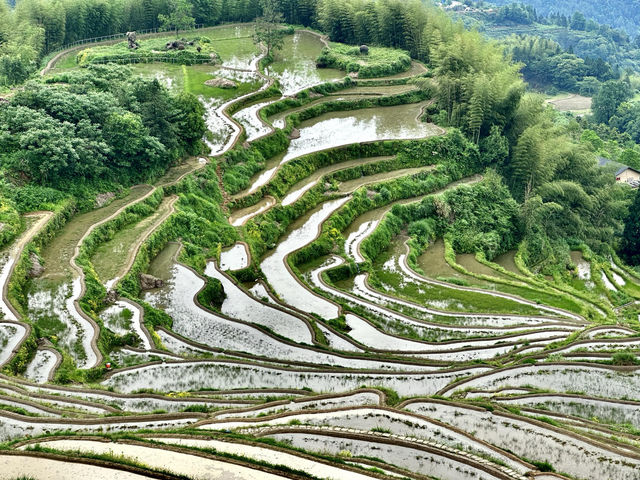 麗水絕美山水攻略