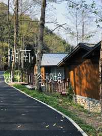 郴州23℃避暑秘境！溯溪漂流住森林木屋