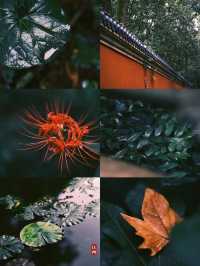 南京怎麼玩？看這一篇就夠了