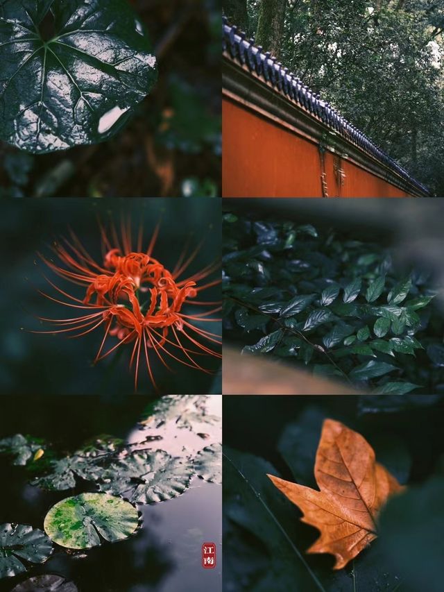 南京怎麼玩？看這一篇就夠了