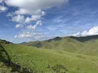 雲上草原：會澤大海草山的治癒之旅
