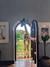 Unforgettable Stay at Giraffe Manor