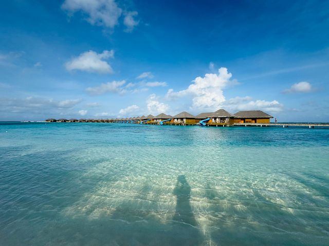 Island Bliss