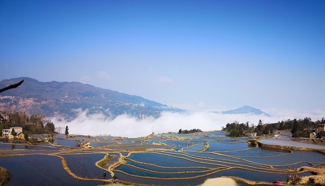 元陽梯田5天4晚旅行攻略，預算5000元，放心玩，放心嗨！