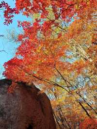 五女山秋：紅葉雲海，遼東秘境